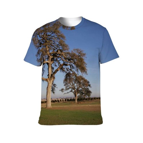yanfind Adult Full Print Tshirts (men And Women) Landscape Trees California USA