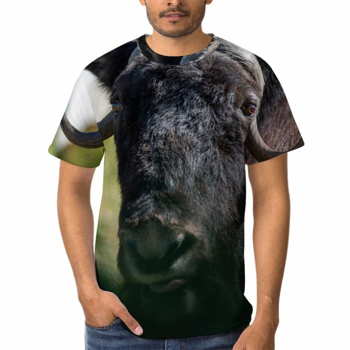 yanfind Adult Full Print T-shirts (men And Women) Grass Fur Portrait Strong Wild Bull Cow Wildlife Horn Bison Cattle