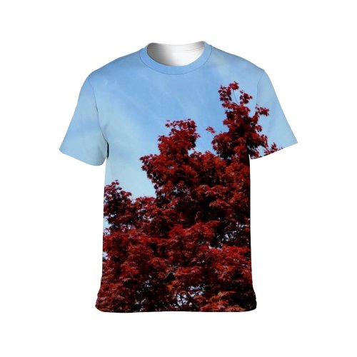 yanfind Adult Full Print Tshirts (men And Women) Autumn Fall Leaves Trees Season Sky Clouds