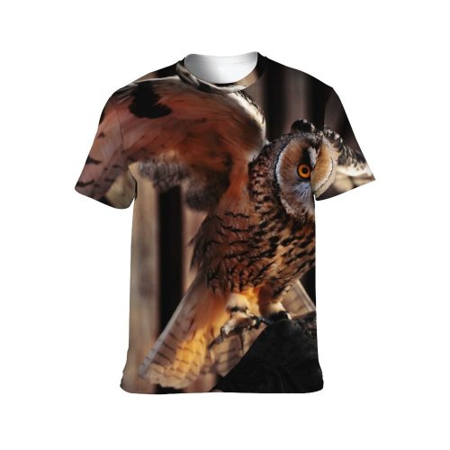 yanfind Adult Full Print T-shirts (men And Women) Wood Bird Dark Eagle Portrait Outdoors Wild Wildlife Stripe Raptor