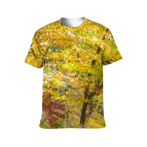 yanfind Adult Full Print Tshirts (men And Women) Autumn Beech Branch Country Countryside Ecology Fall Foliage Footpath Forest Golden Landscape