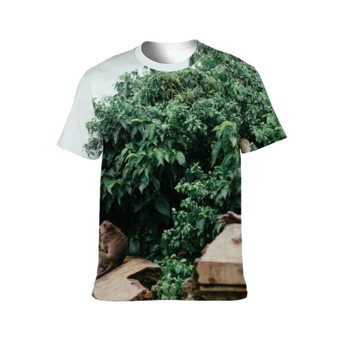 yanfind Adult Full Print T-shirts (men And Women) Wood Building Park Architecture Tree Travel Sculpture Monkey Outdoors Religion Jungle