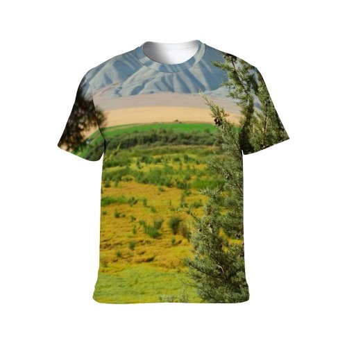 yanfind Adult Full Print T-shirts (men And Women) Wood Landscape Summer Grass Park Leaf Tree Fall Travel Outdoors Evergreen Conifer