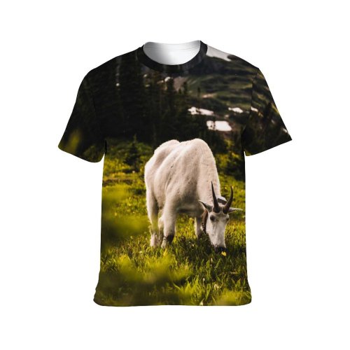 yanfind Adult Full Print T-shirts (men And Women) Landscape Field Summer Agriculture Farm Grass Grassland Outdoors Bull Cow Rural Sheep