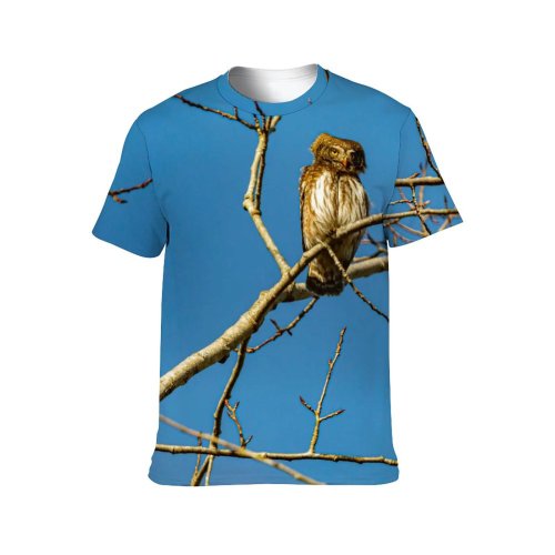 yanfind Adult Full Print T-shirts (men And Women) Snow Wood Flight Winter Eagle Sky Wild Hawk Biology Raptor