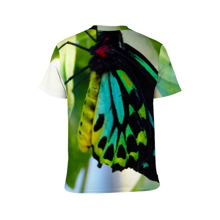 yanfind Adult Full Print Tshirts (men And Women) Antenna Attractive Beautiful Butterfly Colorful Flight Insect Macro