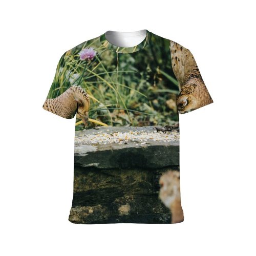 yanfind Adult Full Print T-shirts (men And Women) Grass Park Hen Outdoors Wild Hunter Beautiful Wildlife Wing Feather Biology Poultry