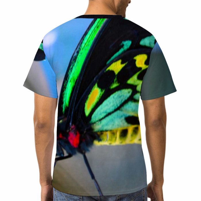 yanfind Adult Full Print Tshirts (men And Women) Antenna Attractive Beautiful Beauty Butterfly Colorful Flight Flower Fly Garden Insect Macro