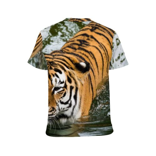 yanfind Adult Full Print T-shirts (men And Women) Fur Cat Wild Wildlife Angry Danger Staring Stripe Endangered