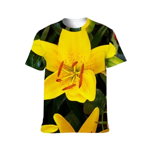 yanfind Adult Full Print Tshirts (men And Women) Agriculture Beautiful Beauty Bloom Bouquet Clear Countryside Daisy Farm Field
