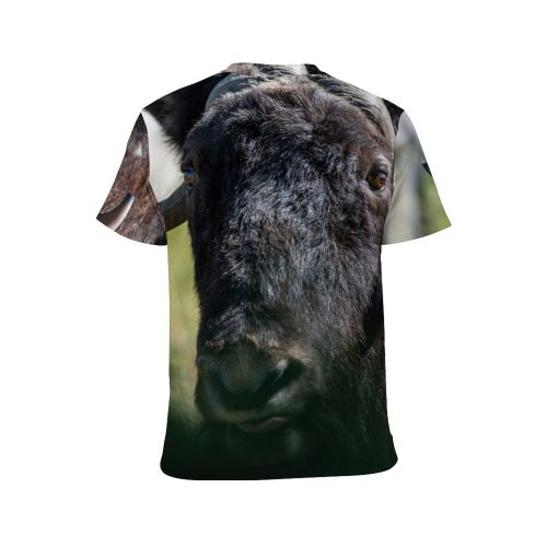 yanfind Adult Full Print T-shirts (men And Women) Grass Fur Portrait Strong Wild Bull Cow Wildlife Horn Bison Cattle