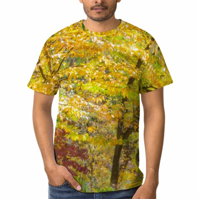 yanfind Adult Full Print Tshirts (men And Women) Autumn Beech Branch Country Countryside Ecology Fall Foliage Footpath Forest Golden Landscape
