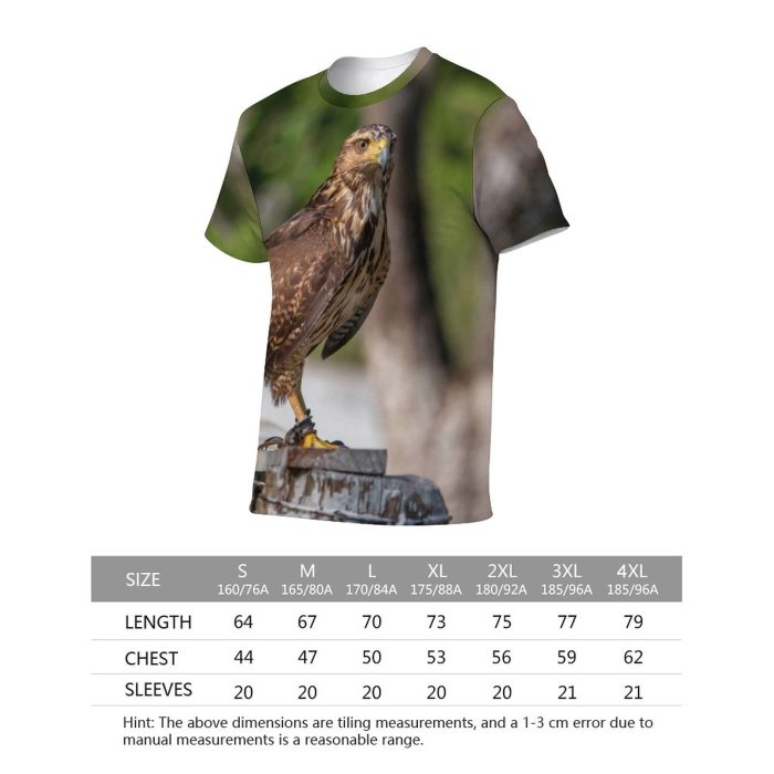 yanfind Adult Full Print T-shirts (men And Women) Wood Bird Eagle Portrait Outdoors Wild Hunter Wildlife Daylight Raptor Falconry