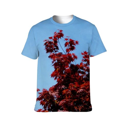 yanfind Adult Full Print Tshirts (men And Women) Autumn Fall Leaves Trees Plant Season Sky