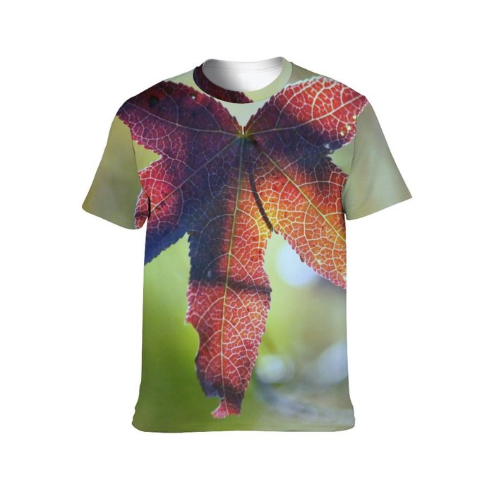 yanfind Adult Full Print Tshirts (men And Women) Fall Season Autumn Beauty Changing Colorful Colour Flora Foliage Forest Leaf