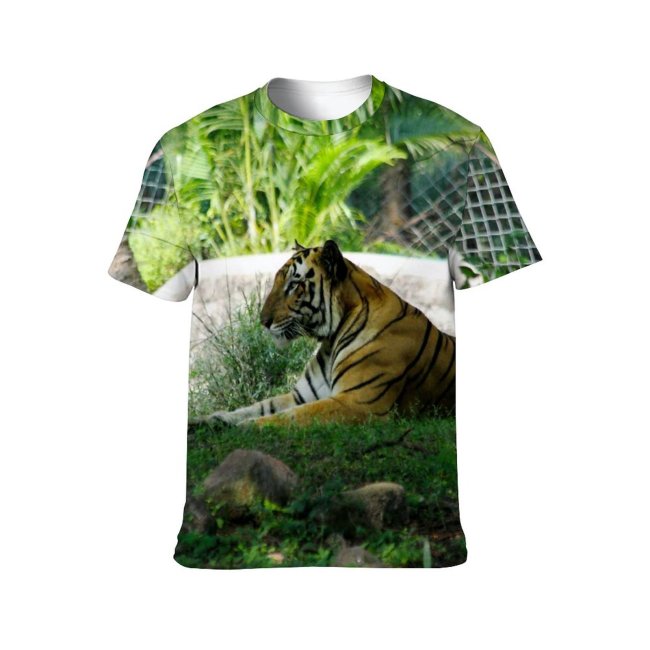 yanfind Adult Full Print T-shirts (men And Women) Grass Tree Big Fur Cat Wild Hunter Jungle Safari Wildlife Danger