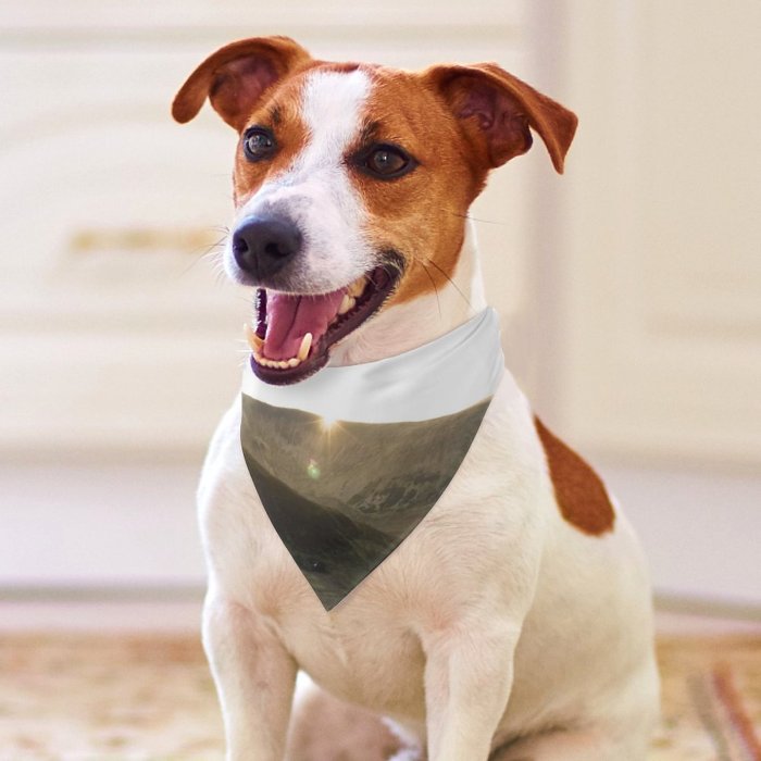 Pet Scarf  Kerchiefs Accessories for Small to Large Dogs Cats