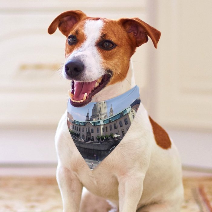 Pet Scarf  Kerchiefs Accessories for Small to Large Dogs Cats