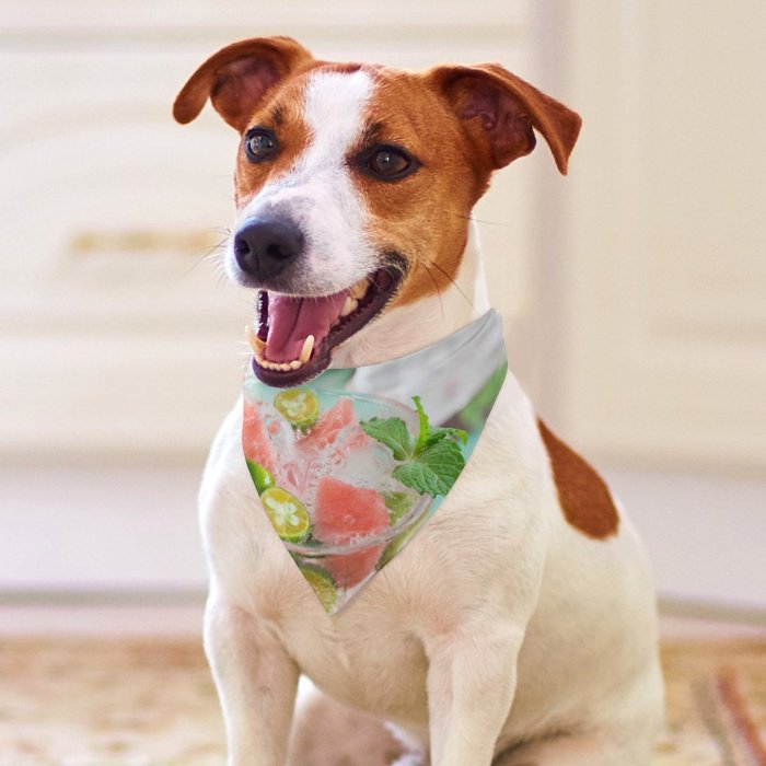 Pet Scarf  Kerchiefs Accessories for Small to Large Dogs Cats