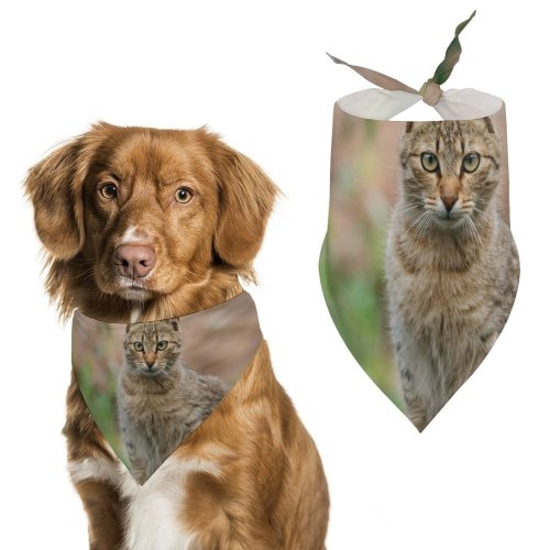 Pet Scarf  Kerchiefs Accessories for Small to Large Dogs Cats