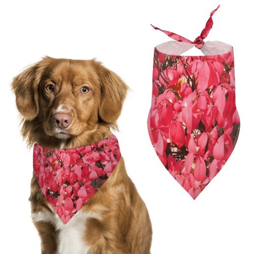Pet Scarf  Kerchiefs Accessories for Small to Large Dogs Cats
