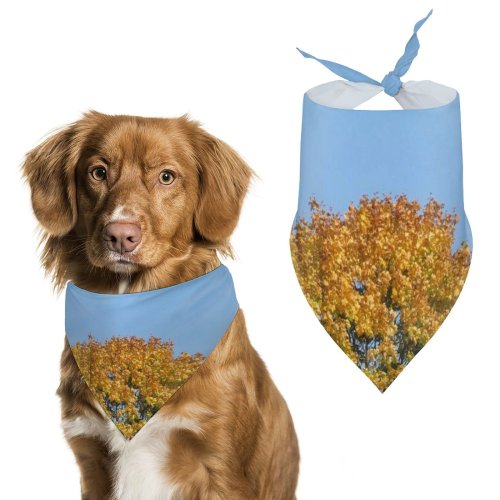 Pet Scarf  Kerchiefs Accessories for Small to Large Dogs Cats