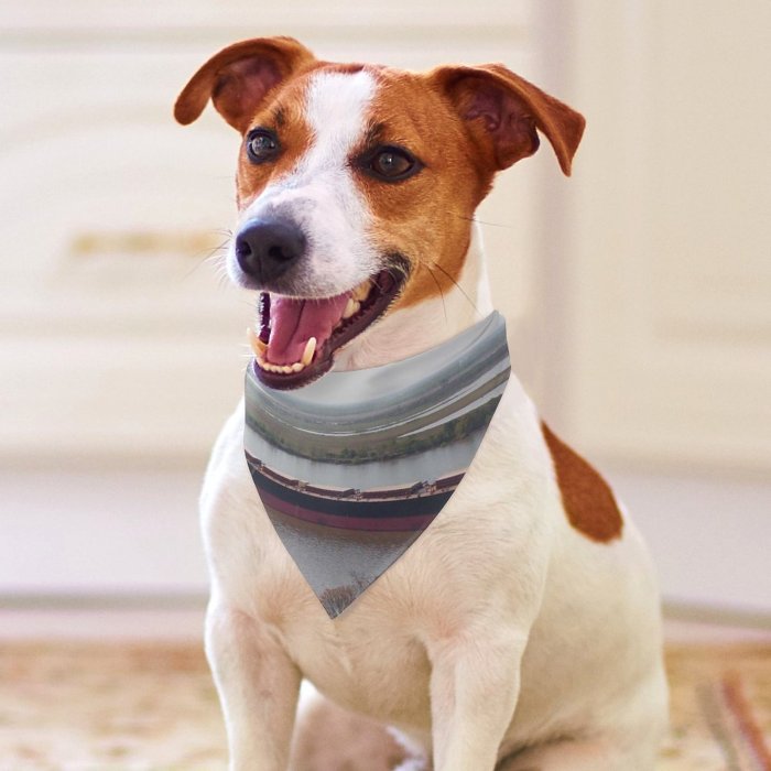 Pet Scarf  Kerchiefs Accessories for Small to Large Dogs Cats