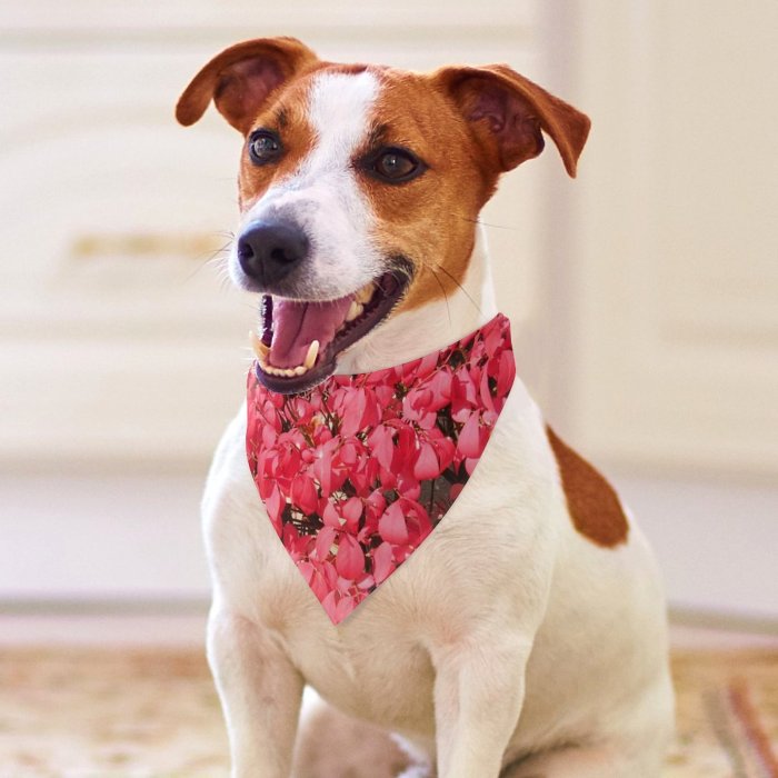 Pet Scarf  Kerchiefs Accessories for Small to Large Dogs Cats