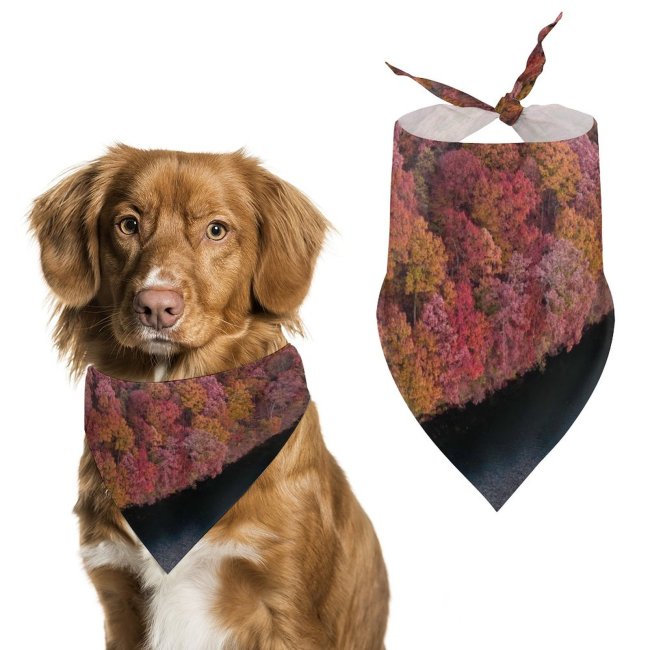 Pet Scarf  Kerchiefs Accessories for Small to Large Dogs Cats