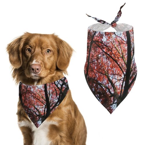 Pet Scarf  Kerchiefs Accessories for Small to Large Dogs Cats