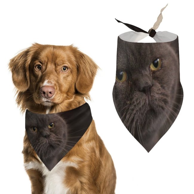 Pet Scarf  Kerchiefs Accessories for Small to Large Dogs Cats