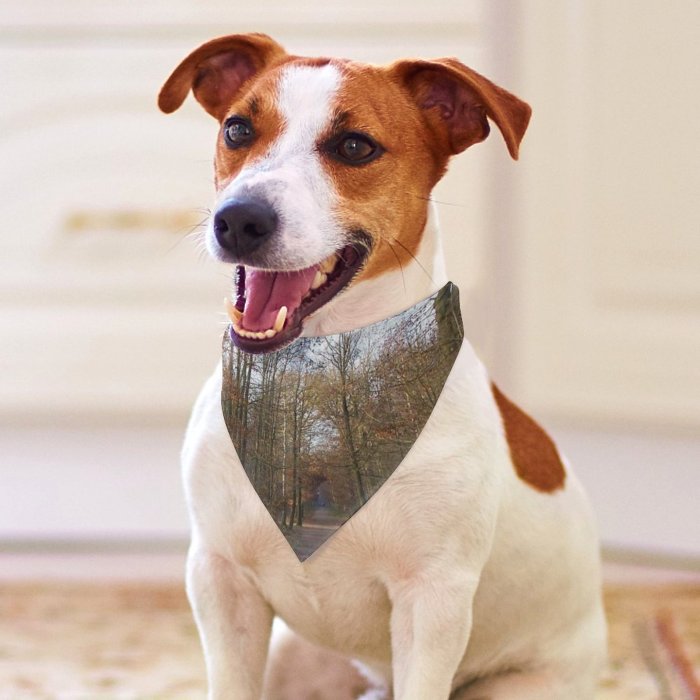 Pet Scarf  Kerchiefs Accessories for Small to Large Dogs Cats