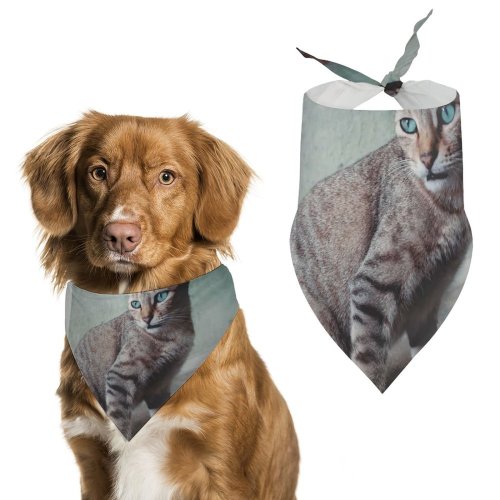 Pet Scarf  Kerchiefs Accessories for Small to Large Dogs Cats