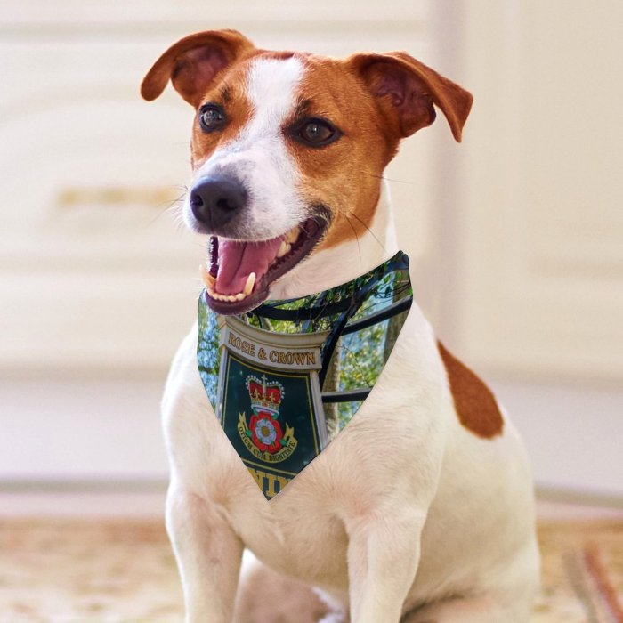 Pet Scarf  Kerchiefs Accessories for Small to Large Dogs Cats