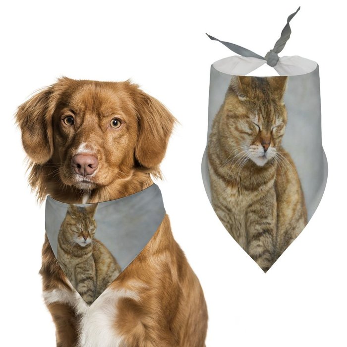 Pet Scarf  Kerchiefs Accessories for Small to Large Dogs Cats