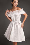 White Organza Ruffle Off-the-Shoulder Textured Mini Dress