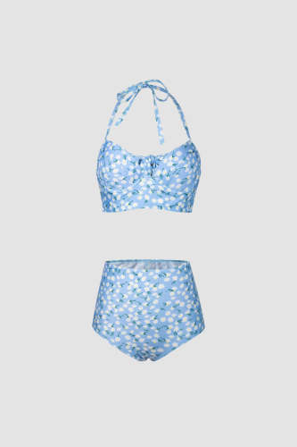 Light Sky Blue Floral Print Halter Top And High-Waisted Bottom Bikini Set
