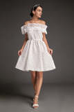 White Organza Ruffle Off-the-Shoulder Textured Mini Dress
