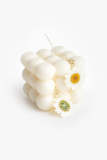White Dried Flower Earrings