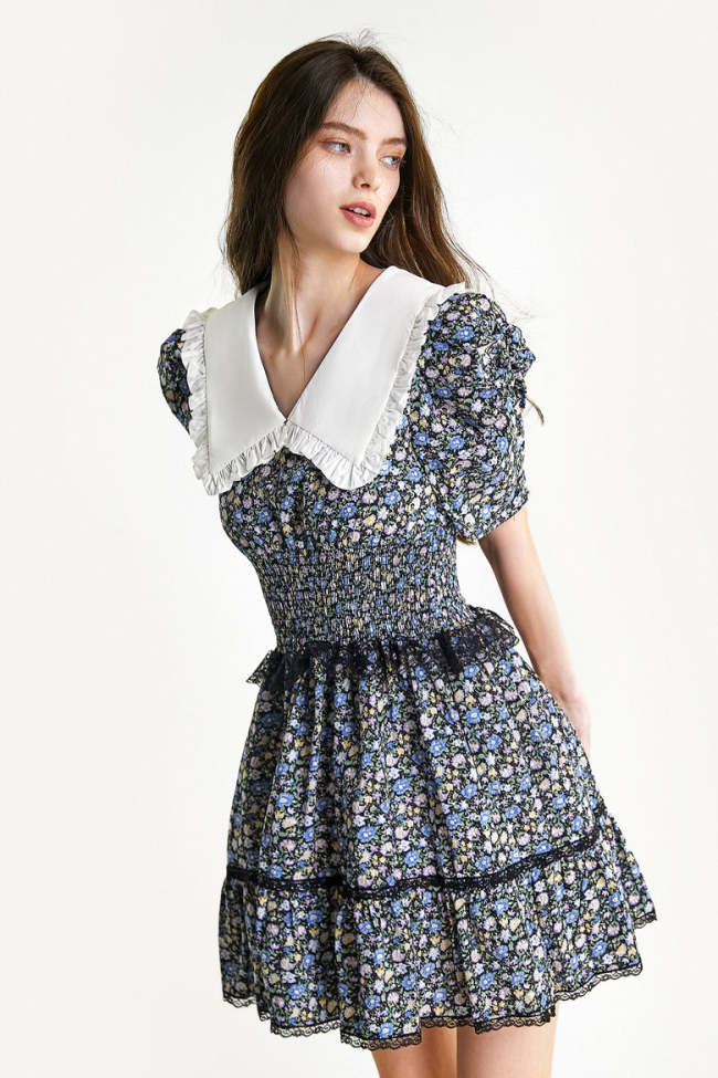 Light Sky Blue Floral Print Smocked Collared Lace Trim Mini Dress