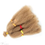 Crochet Braid Hair Afro Kinky Curly Twist Marley Synthetic Braiding Hair