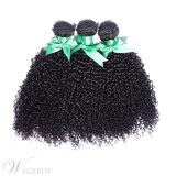 African American Kinky Curly Human Hair Weave 1 PC