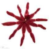 Crochet Braid Hair Afro Kinky Curly Twist Marley Synthetic Braiding Hair