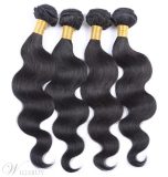 Wigsbuy Brazilian Loose Wave Virgin Hair 4 Bundles/Pack