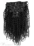 Sexy Kinky Curly 7 pcs Clip In Human Hair Extensions