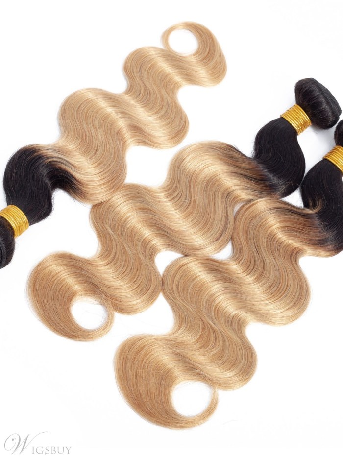 Wigsbuy Ombre Human Hair Weave Body Wave 1b 27 Honey Blonde 3PCS