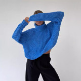 oversized hole sweater 2 colors