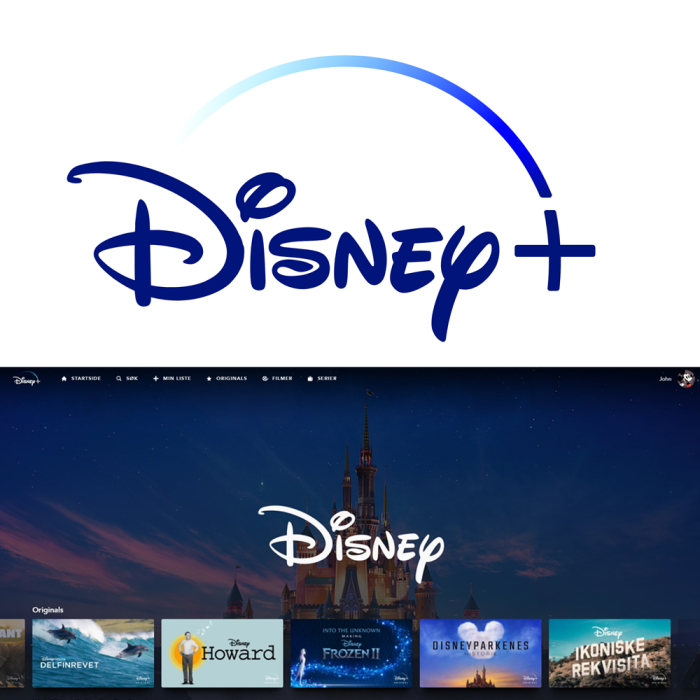 Disney+ 12 Month Warranty Spain American Poland Portugal Germany Italy UK etc All Over World
