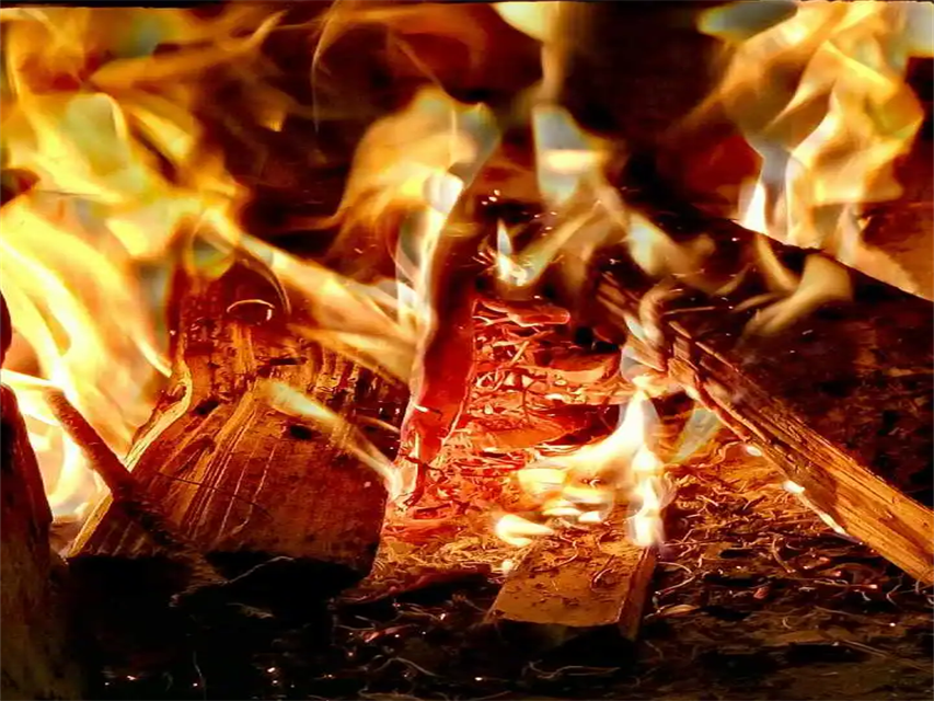 The Best Firewood For The Wood Stove