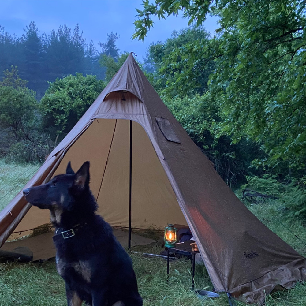 hot tent camping overnight with a dog in the forest burning stove to keep warm